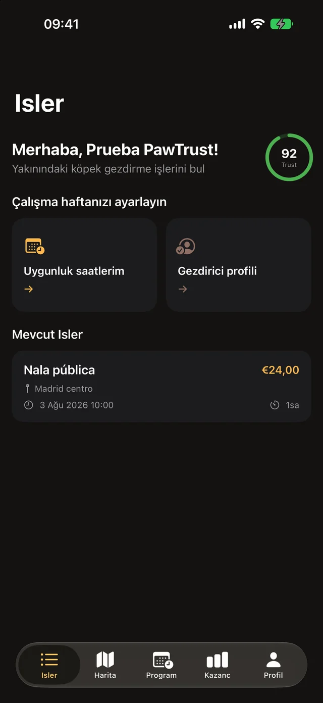Gezdirici görünümü